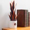 Auburn Tigers Faux Snake Plant and Orchid (2 Pack) - Fan-Favorite Gift Bundle